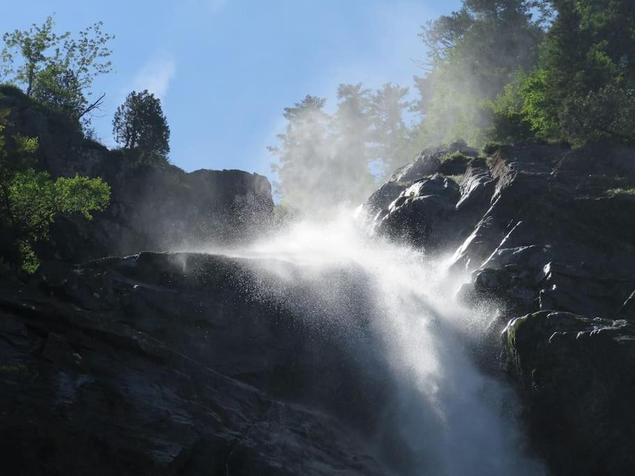 "Le Desman" Confortable T2 A La Montagne Face Aux Thermes Rando, Cure 奥吕莱班 外观 照片