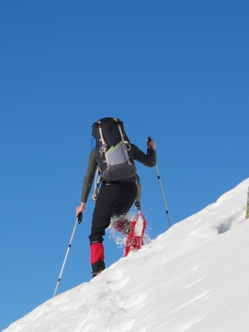 "Le Desman" Confortable T2 A La Montagne Face Aux Thermes Rando, Cure 奥吕莱班 外观 照片