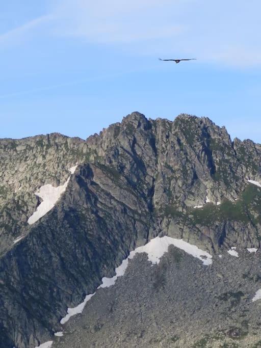 "Le Desman" Confortable T2 A La Montagne Face Aux Thermes Rando, Cure 奥吕莱班 外观 照片