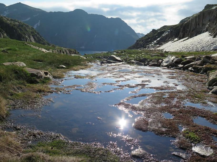 "Le Desman" Confortable T2 A La Montagne Face Aux Thermes Rando, Cure 奥吕莱班 外观 照片