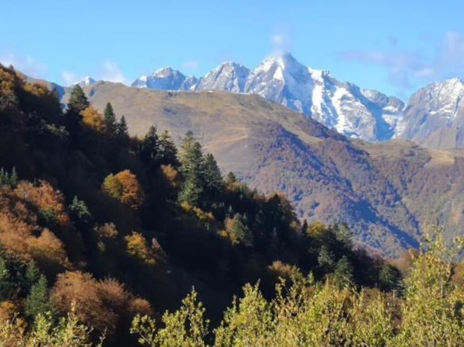"Le Desman" Confortable T2 A La Montagne Face Aux Thermes Rando, Cure 奥吕莱班 外观 照片